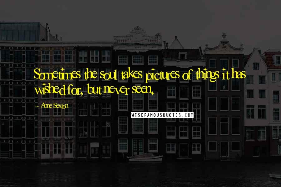 Anne Sexton Quotes: Sometimes the soul takes pictures of things it has wished for, but never seen.