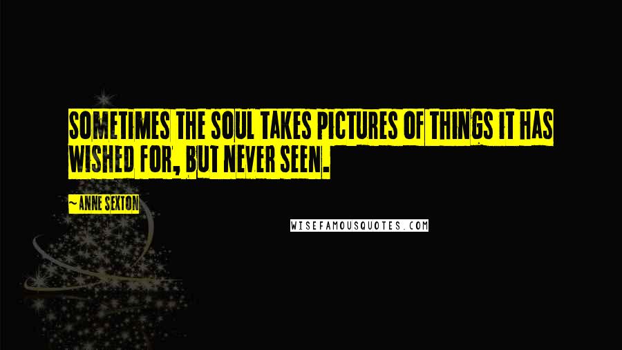Anne Sexton Quotes: Sometimes the soul takes pictures of things it has wished for, but never seen.
