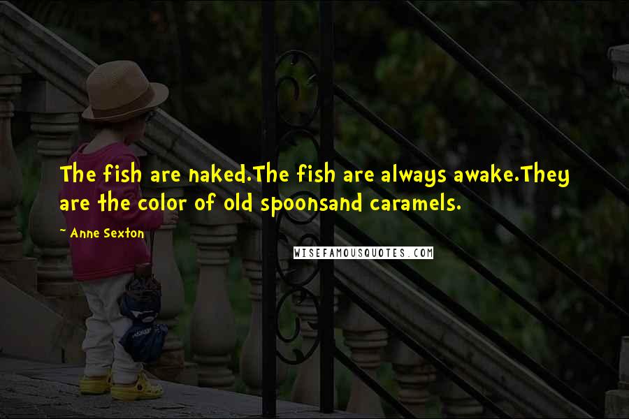 Anne Sexton Quotes: The fish are naked.The fish are always awake.They are the color of old spoonsand caramels.