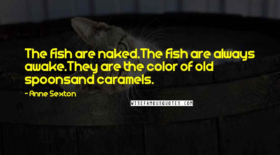 Anne Sexton Quotes: The fish are naked.The fish are always awake.They are the color of old spoonsand caramels.