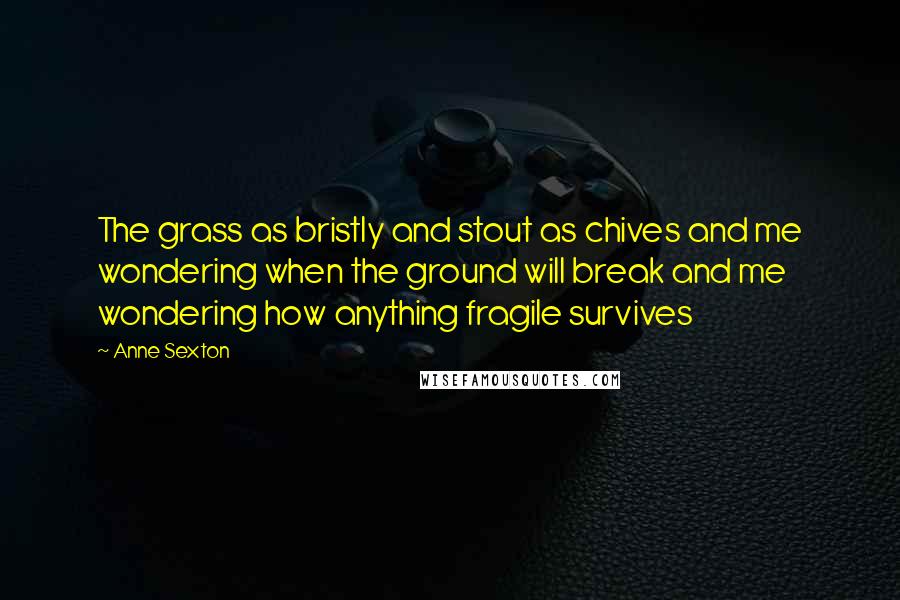 Anne Sexton Quotes: The grass as bristly and stout as chives and me wondering when the ground will break and me wondering how anything fragile survives