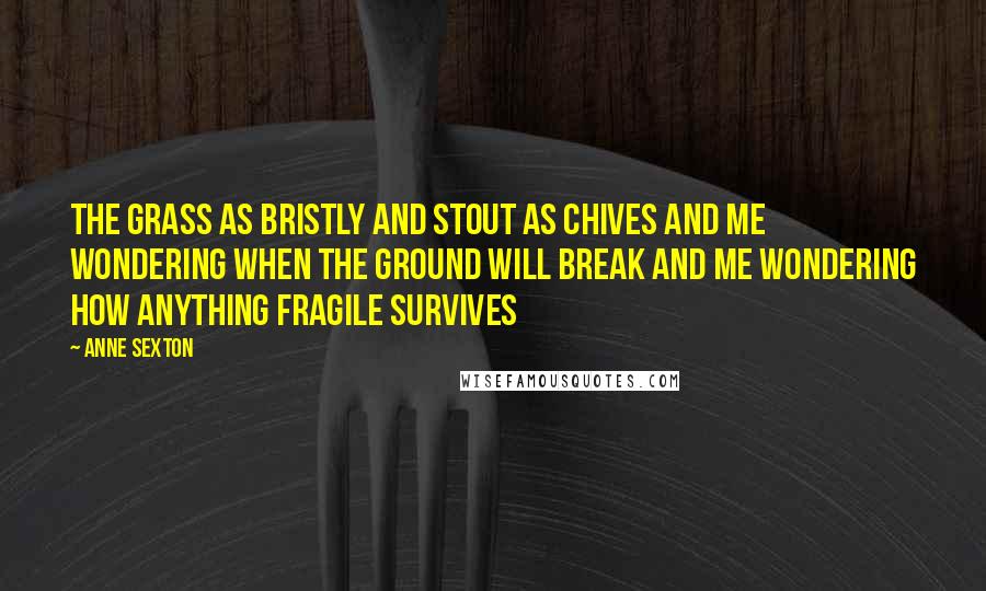 Anne Sexton Quotes: The grass as bristly and stout as chives and me wondering when the ground will break and me wondering how anything fragile survives