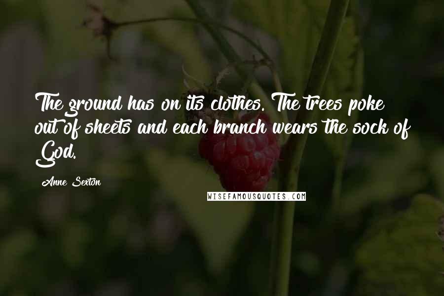 Anne Sexton Quotes: The ground has on its clothes. The trees poke out of sheets and each branch wears the sock of God.