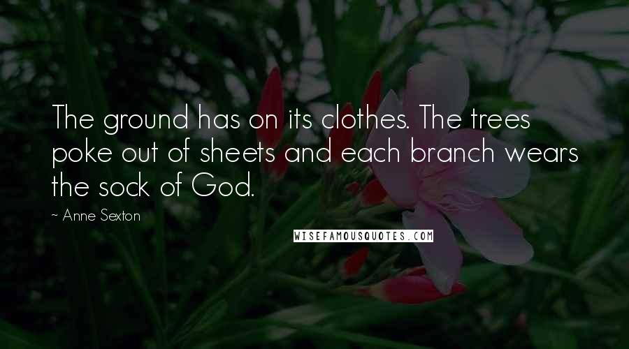 Anne Sexton Quotes: The ground has on its clothes. The trees poke out of sheets and each branch wears the sock of God.