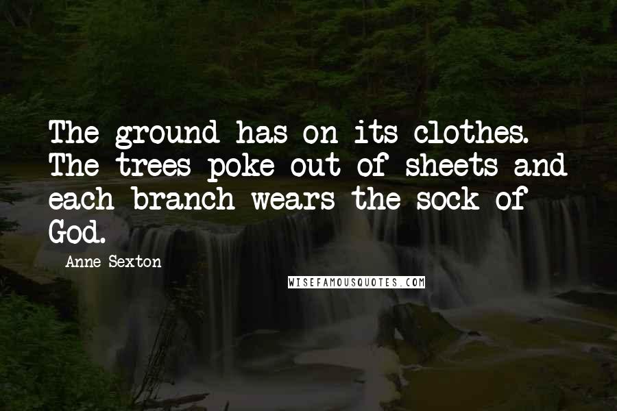 Anne Sexton Quotes: The ground has on its clothes. The trees poke out of sheets and each branch wears the sock of God.