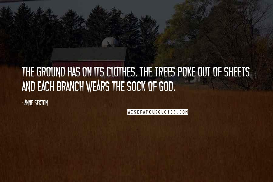 Anne Sexton Quotes: The ground has on its clothes. The trees poke out of sheets and each branch wears the sock of God.