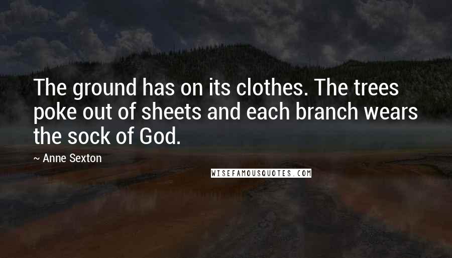 Anne Sexton Quotes: The ground has on its clothes. The trees poke out of sheets and each branch wears the sock of God.