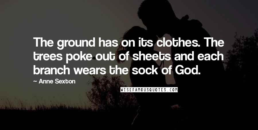 Anne Sexton Quotes: The ground has on its clothes. The trees poke out of sheets and each branch wears the sock of God.