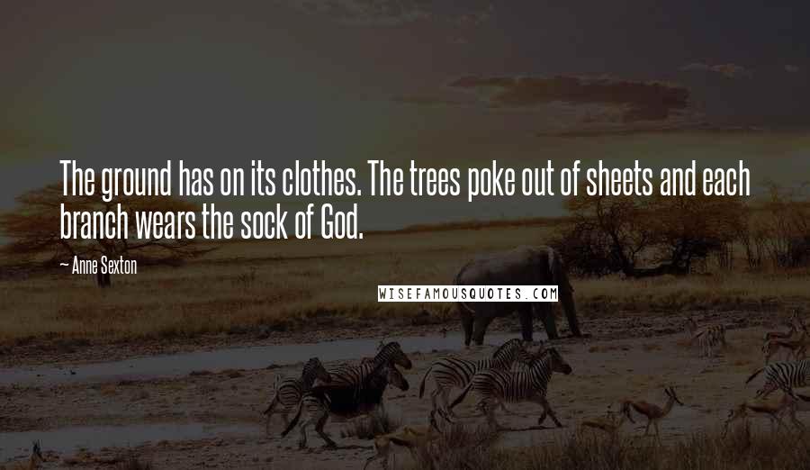 Anne Sexton Quotes: The ground has on its clothes. The trees poke out of sheets and each branch wears the sock of God.