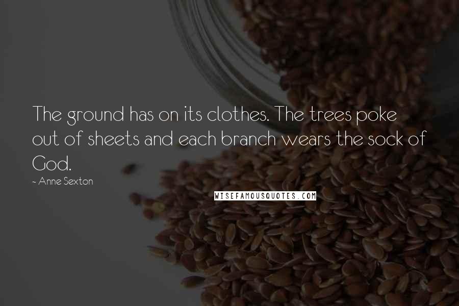 Anne Sexton Quotes: The ground has on its clothes. The trees poke out of sheets and each branch wears the sock of God.