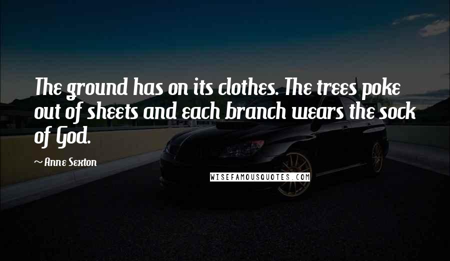 Anne Sexton Quotes: The ground has on its clothes. The trees poke out of sheets and each branch wears the sock of God.