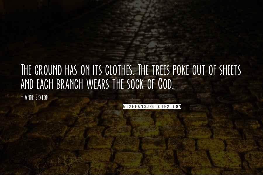 Anne Sexton Quotes: The ground has on its clothes. The trees poke out of sheets and each branch wears the sock of God.