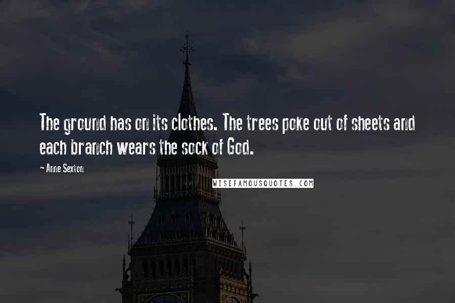Anne Sexton Quotes: The ground has on its clothes. The trees poke out of sheets and each branch wears the sock of God.
