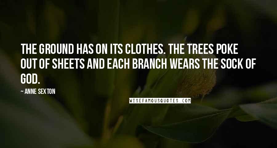 Anne Sexton Quotes: The ground has on its clothes. The trees poke out of sheets and each branch wears the sock of God.