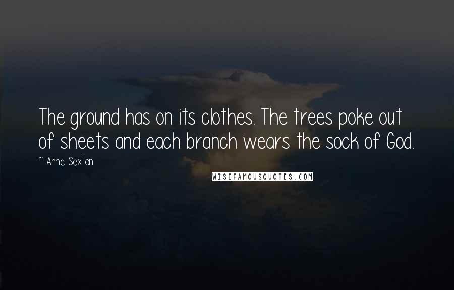 Anne Sexton Quotes: The ground has on its clothes. The trees poke out of sheets and each branch wears the sock of God.