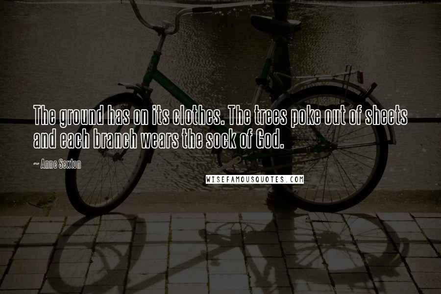 Anne Sexton Quotes: The ground has on its clothes. The trees poke out of sheets and each branch wears the sock of God.