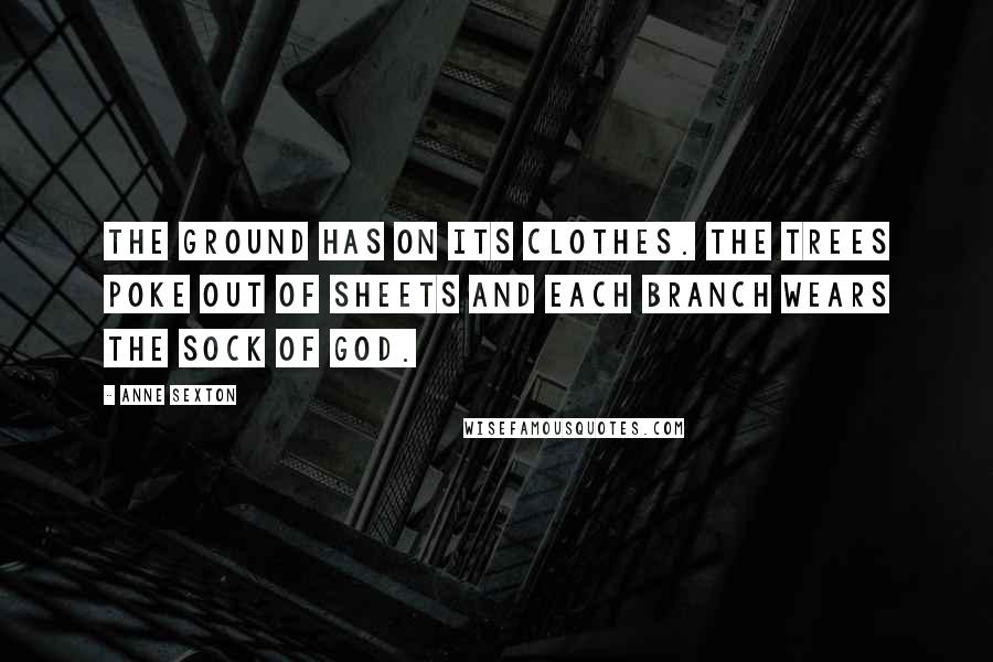 Anne Sexton Quotes: The ground has on its clothes. The trees poke out of sheets and each branch wears the sock of God.