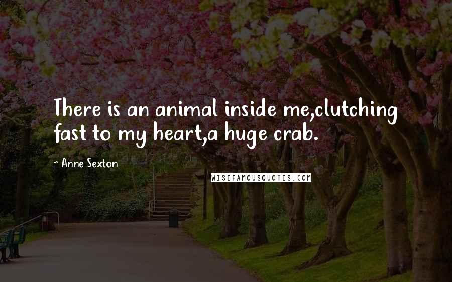 Anne Sexton Quotes: There is an animal inside me,clutching fast to my heart,a huge crab.