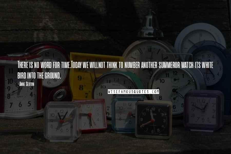 Anne Sexton Quotes: There is no word for time.Today we willnot think to number another summeror watch its white bird into the ground.