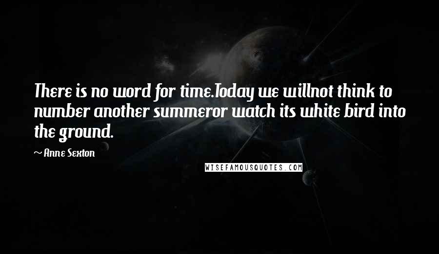 Anne Sexton Quotes: There is no word for time.Today we willnot think to number another summeror watch its white bird into the ground.