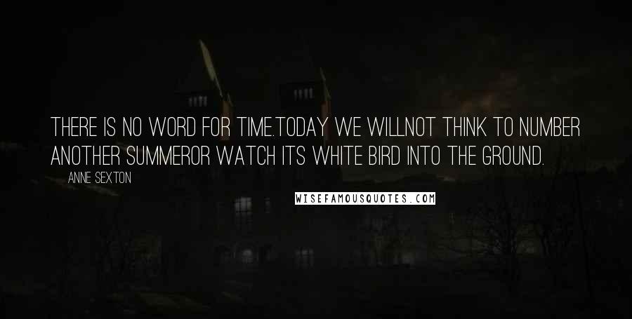 Anne Sexton Quotes: There is no word for time.Today we willnot think to number another summeror watch its white bird into the ground.