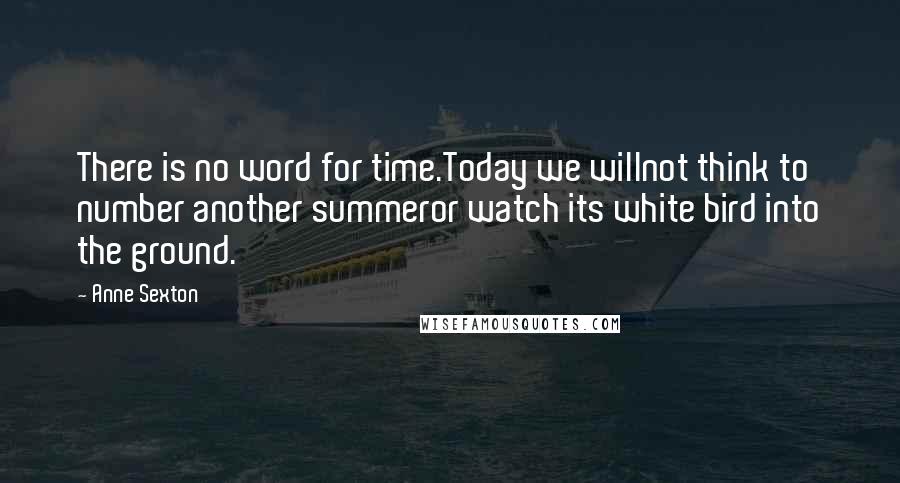 Anne Sexton Quotes: There is no word for time.Today we willnot think to number another summeror watch its white bird into the ground.