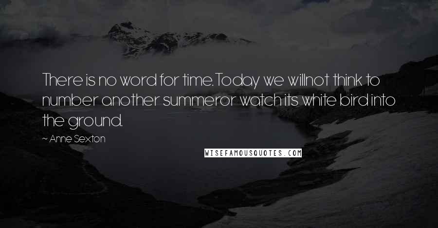 Anne Sexton Quotes: There is no word for time.Today we willnot think to number another summeror watch its white bird into the ground.