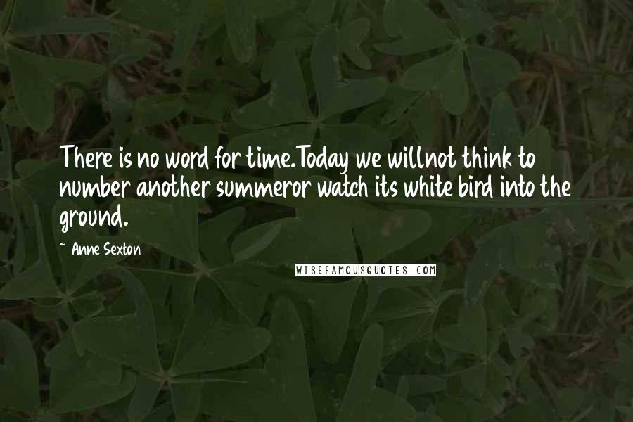 Anne Sexton Quotes: There is no word for time.Today we willnot think to number another summeror watch its white bird into the ground.