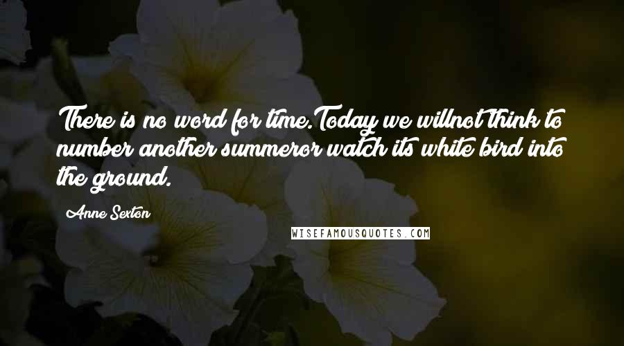 Anne Sexton Quotes: There is no word for time.Today we willnot think to number another summeror watch its white bird into the ground.