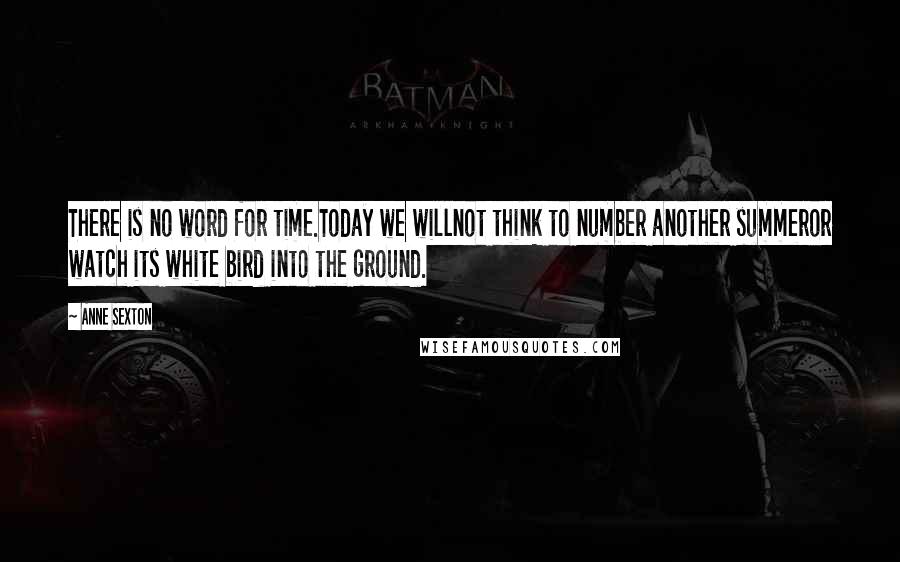 Anne Sexton Quotes: There is no word for time.Today we willnot think to number another summeror watch its white bird into the ground.