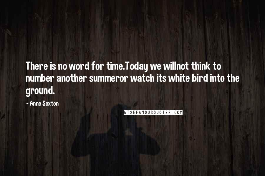 Anne Sexton Quotes: There is no word for time.Today we willnot think to number another summeror watch its white bird into the ground.