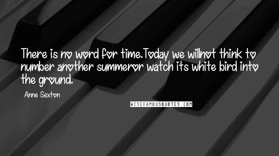 Anne Sexton Quotes: There is no word for time.Today we willnot think to number another summeror watch its white bird into the ground.