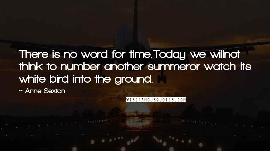 Anne Sexton Quotes: There is no word for time.Today we willnot think to number another summeror watch its white bird into the ground.