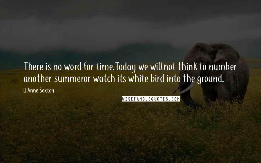 Anne Sexton Quotes: There is no word for time.Today we willnot think to number another summeror watch its white bird into the ground.