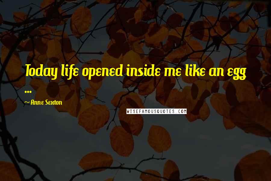 Anne Sexton Quotes: Today life opened inside me like an egg ...