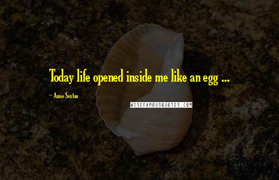 Anne Sexton Quotes: Today life opened inside me like an egg ...