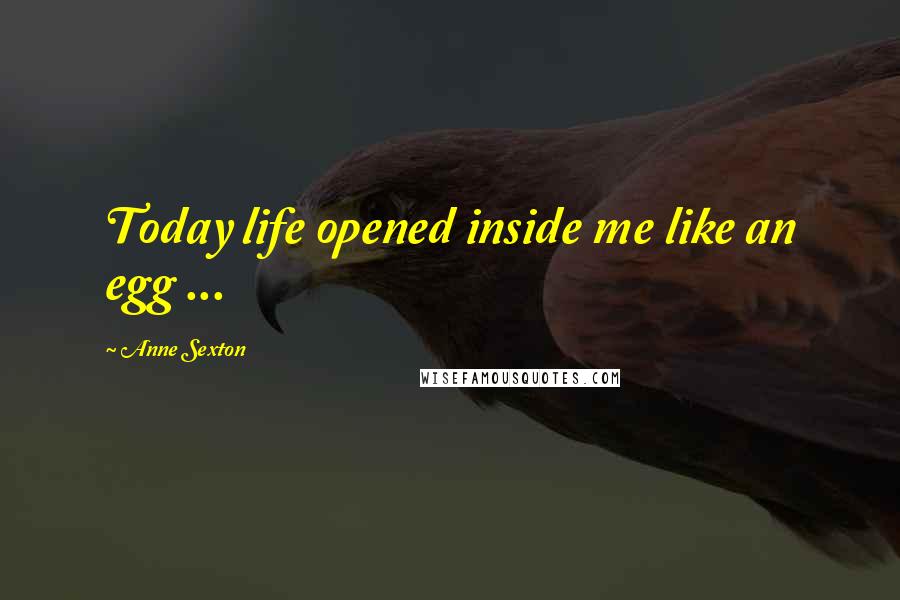 Anne Sexton Quotes: Today life opened inside me like an egg ...