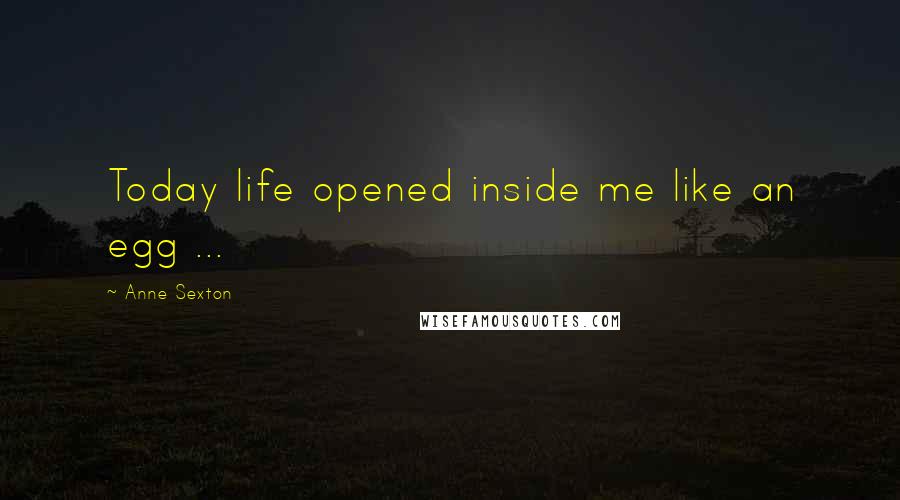 Anne Sexton Quotes: Today life opened inside me like an egg ...