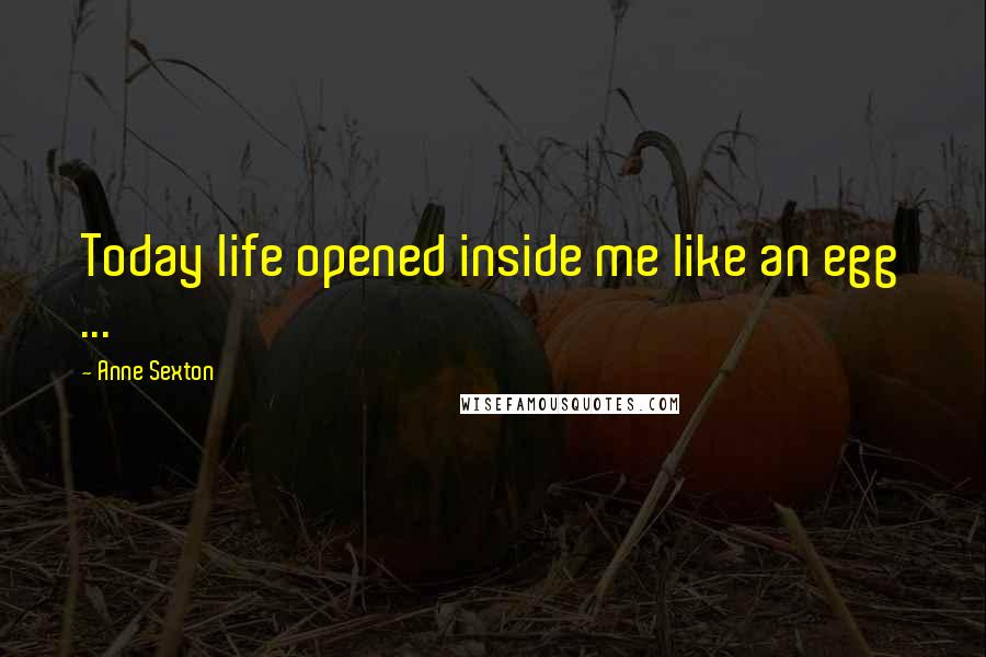 Anne Sexton Quotes: Today life opened inside me like an egg ...