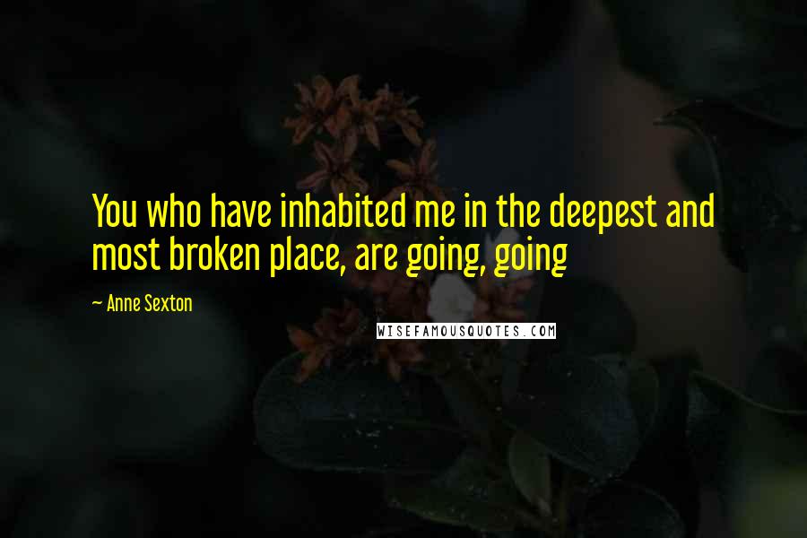 Anne Sexton Quotes: You who have inhabited me in the deepest and most broken place, are going, going