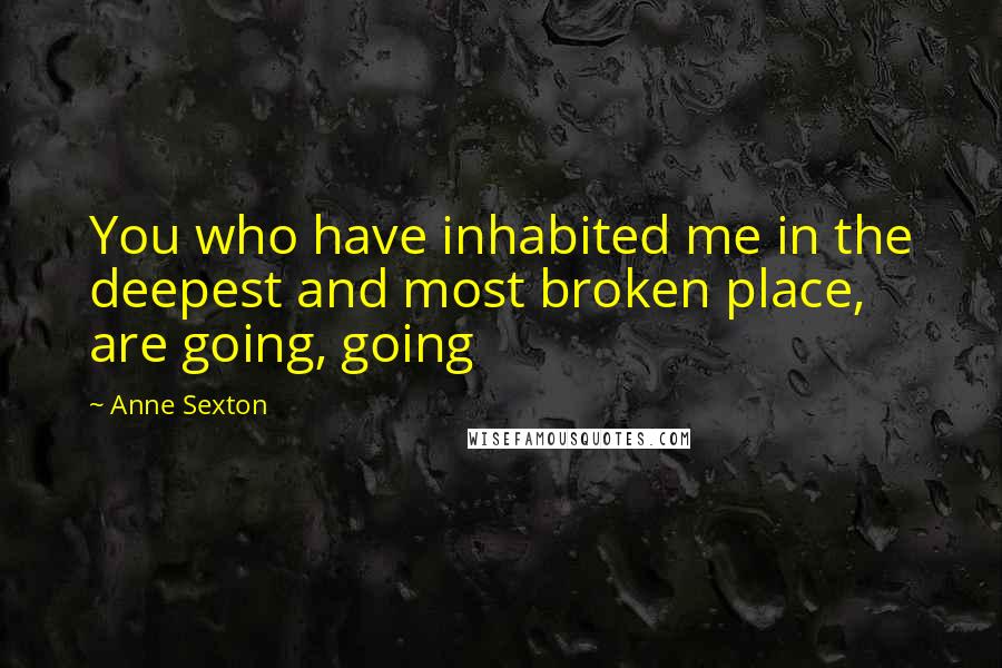 Anne Sexton Quotes: You who have inhabited me in the deepest and most broken place, are going, going