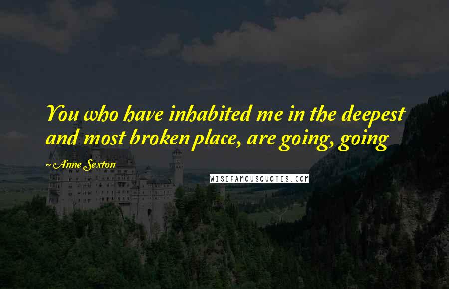 Anne Sexton Quotes: You who have inhabited me in the deepest and most broken place, are going, going