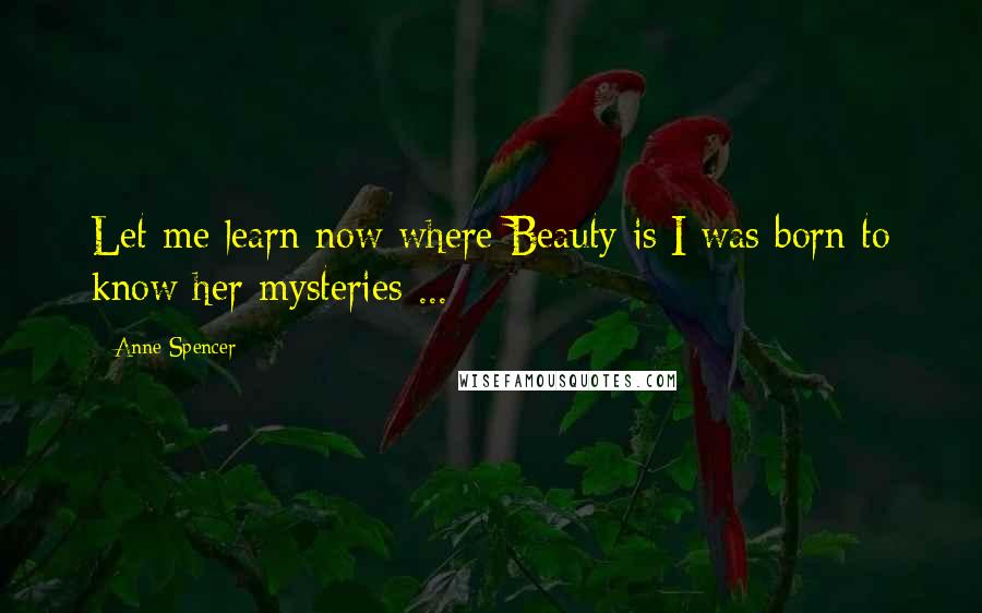Anne Spencer Quotes: Let me learn now where Beauty is;I was born to know her mysteries ...