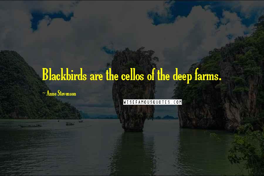 Anne Stevenson Quotes: Blackbirds are the cellos of the deep farms.