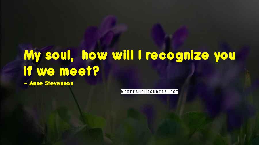 Anne Stevenson Quotes: My soul,  how will I recognize you if we meet?