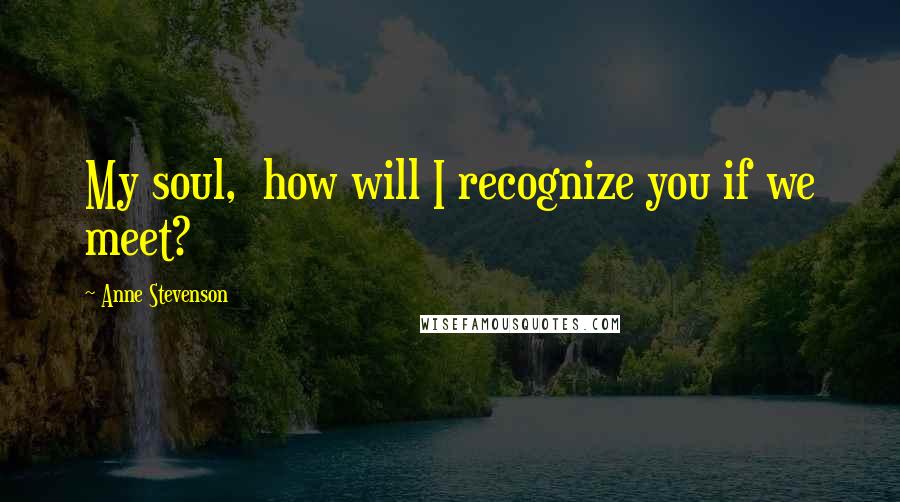 Anne Stevenson Quotes: My soul,  how will I recognize you if we meet?