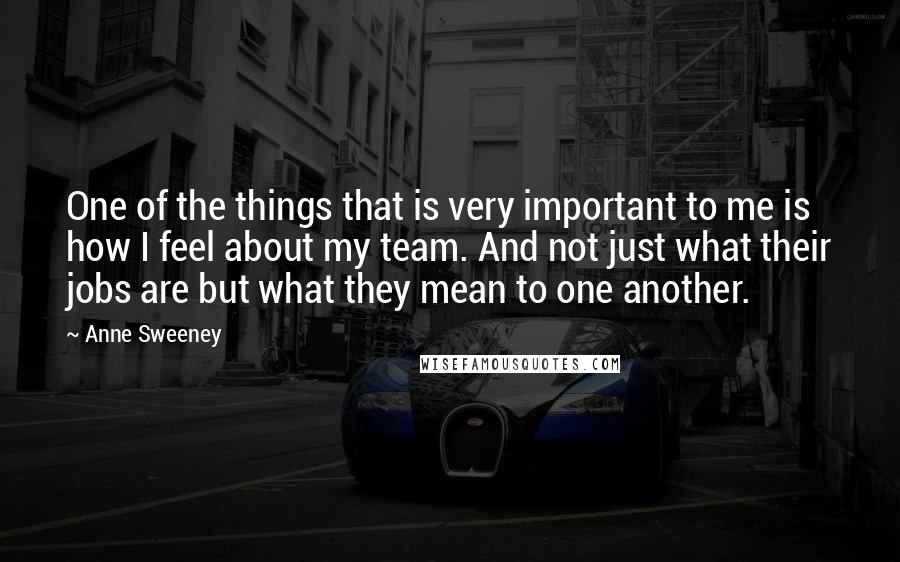 Anne Sweeney Quotes: One of the things that is very important to me is how I feel about my team. And not just what their jobs are but what they mean to one another.