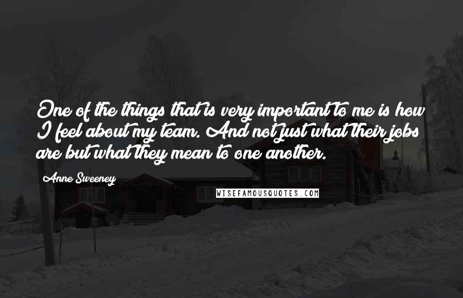 Anne Sweeney Quotes: One of the things that is very important to me is how I feel about my team. And not just what their jobs are but what they mean to one another.