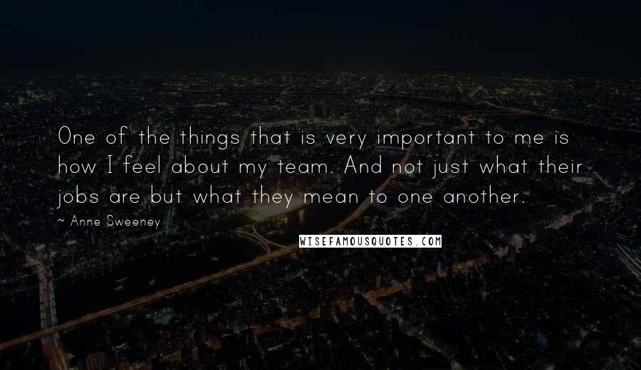 Anne Sweeney Quotes: One of the things that is very important to me is how I feel about my team. And not just what their jobs are but what they mean to one another.