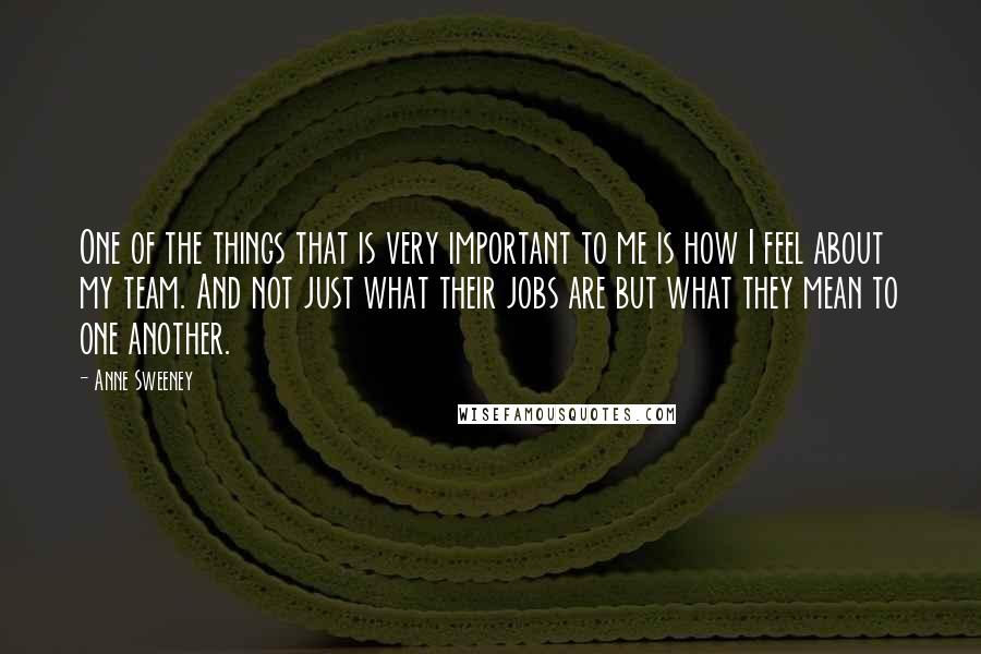 Anne Sweeney Quotes: One of the things that is very important to me is how I feel about my team. And not just what their jobs are but what they mean to one another.